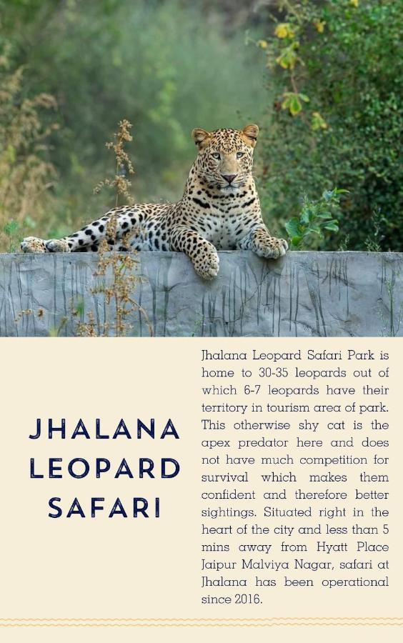 Hyatt Place Jaipur Malviya Nagar エクステリア 写真 Jhalana Leopard